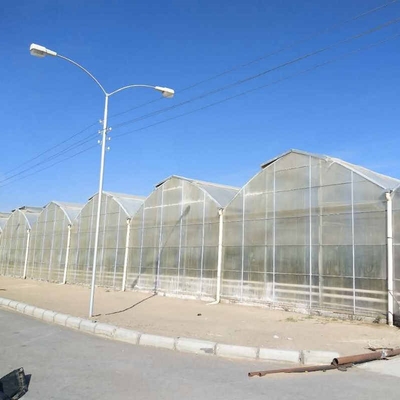 Steel Frame Polycarbonate Greenhouse For Vegetables Multi Span PC Board Greenhouse Agriculture Outdoor